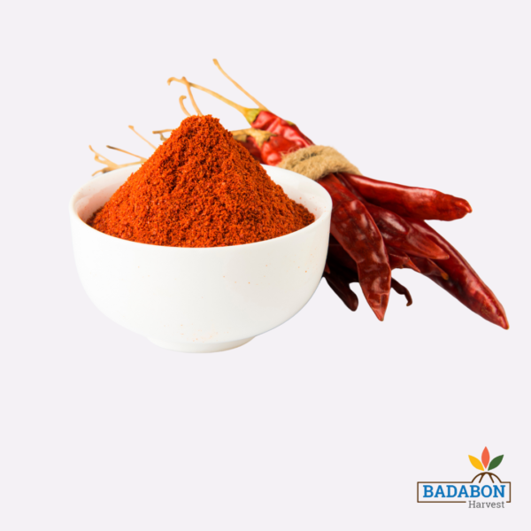 Chilli Powder - 100 Gram pack