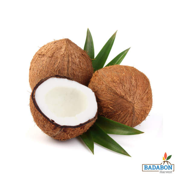 Coconut - নারকেল