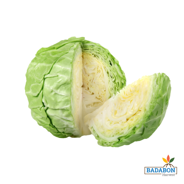 Cabbage - বাঁধাকপি