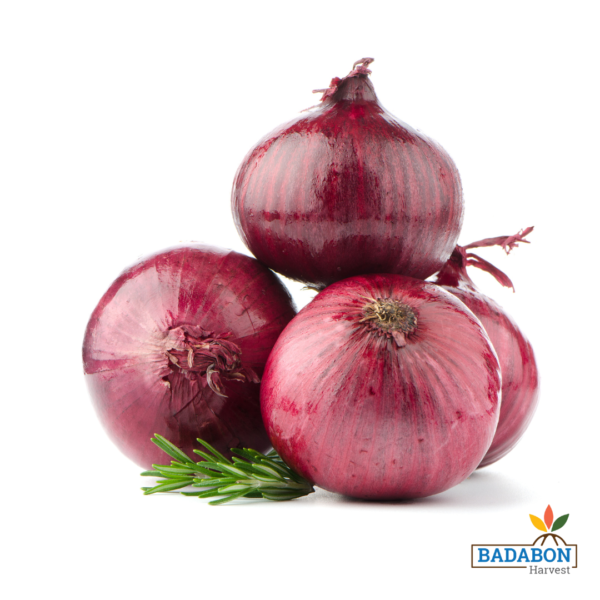 Onion - পিয়াজ