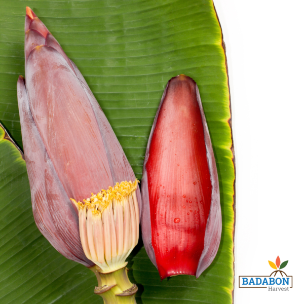 Banana Blossom - কলার মোচা