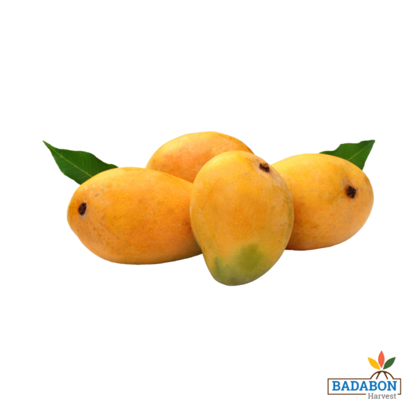 Ripe Mango - পাকা আম