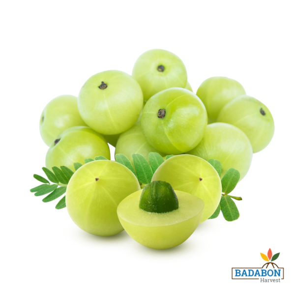 Indian gooseberry - আমলকী