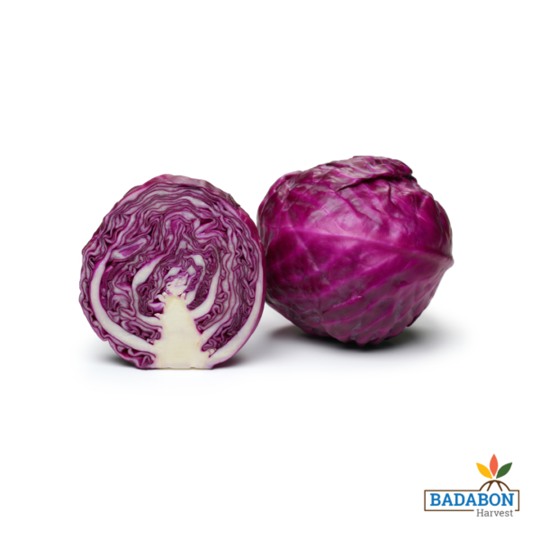 Red cabbage - লাল বাঁধাকপি