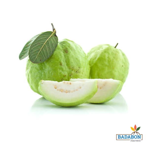 Guava - পিয়ারা