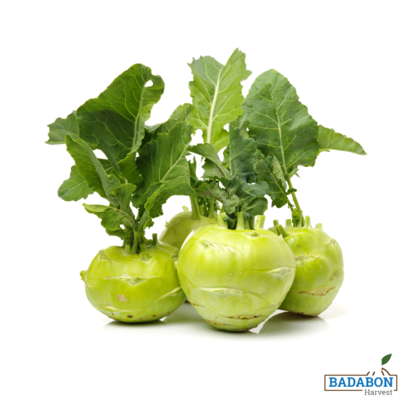 Kohlrabi - ওলকপি