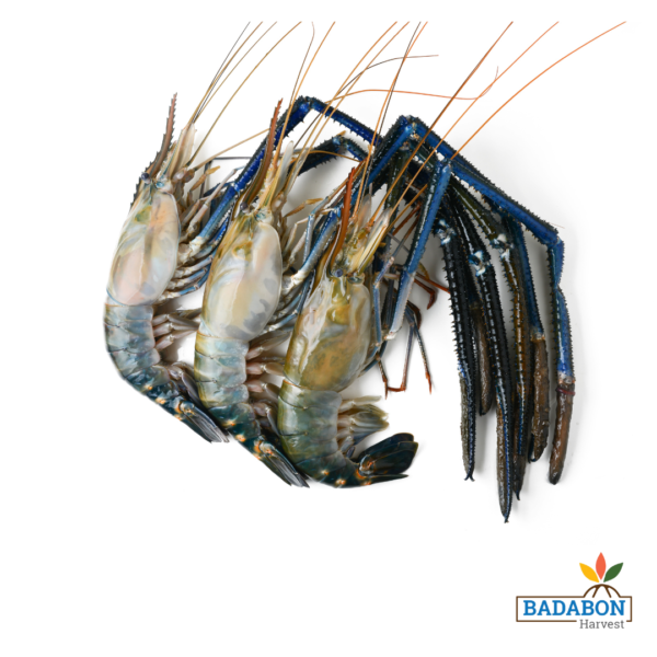 Giant Freshwater Prawn - গলদা চিংড়ি - 500 Grams