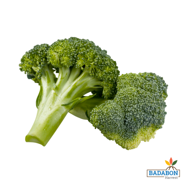 Broccoli - ব্রকলি