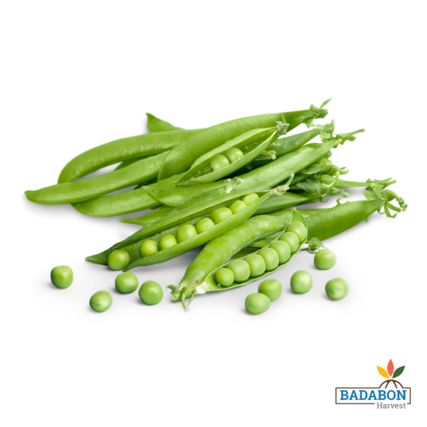 Green peas - মটরশুঁটি