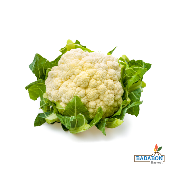 Cauliflower - ফুলকপি