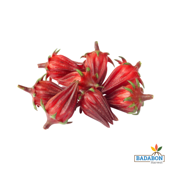 Roselle - টক ঢ্যাঁড়শ