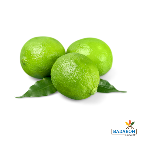 Lime - পাতি লেবু