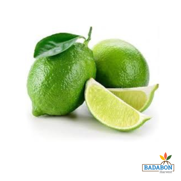 Gandhraj Lemon - গন্ধরাজ লেবু